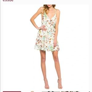 Essue Floral Colorful Mini Dress